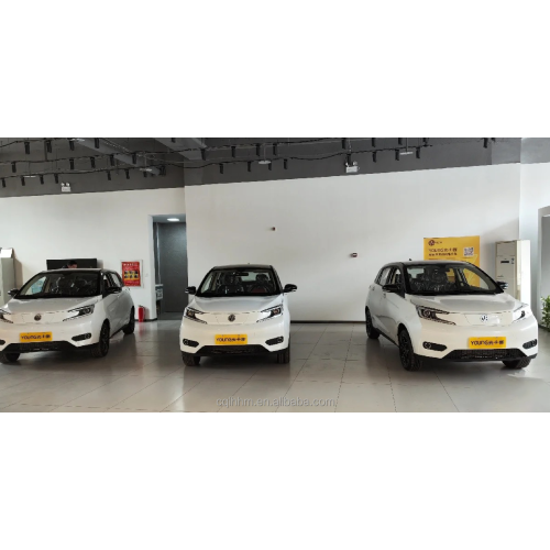 RHD Young Guangxioxin 2023 EV Mini Electric Electr